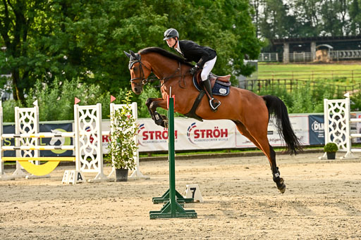 Show Jumping Event Stall Leichle in Schnarup | 140825 Youngster _094 