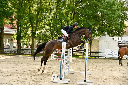 Show Jumping Event Stall Leichle in Schnarup | 140825 Youngster _095 