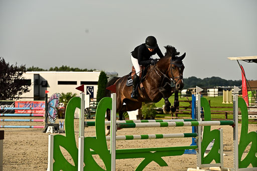 Show Jumping Event Stall Leichle in Schnarup | 140825 Youngster _096 