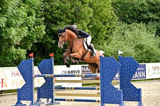Show Jumping Event Stall Leichle in Schnarup | 140825 Youngster _105 