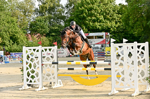 Show Jumping Event Stall Leichle in Schnarup | 140825 Youngster _113 