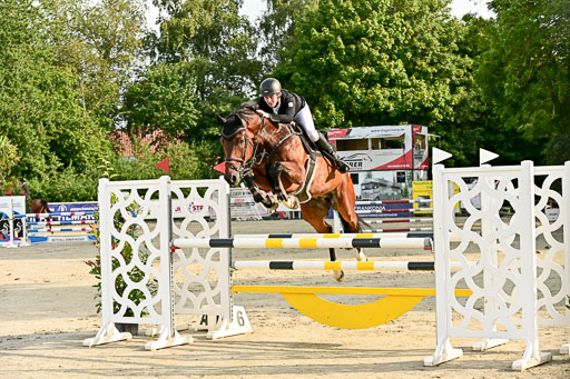 Show Jumping Event Stall Leichle in Schnarup | 140825 Youngster _114 