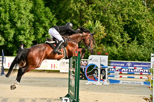 Show Jumping Event Stall Leichle in Schnarup | 140825 Youngster _115 