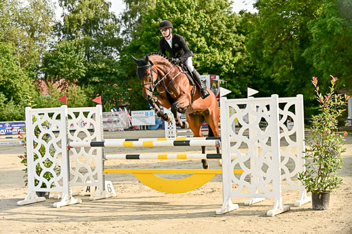 Show Jumping Event Stall Leichle in Schnarup | 140825 Youngster _116 