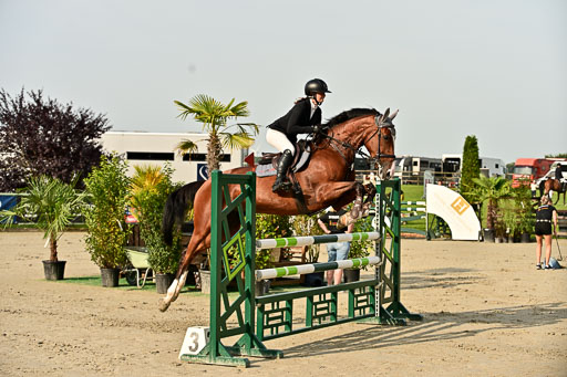 Show Jumping Event Stall Leichle in Schnarup | 140825 Youngster _121 
