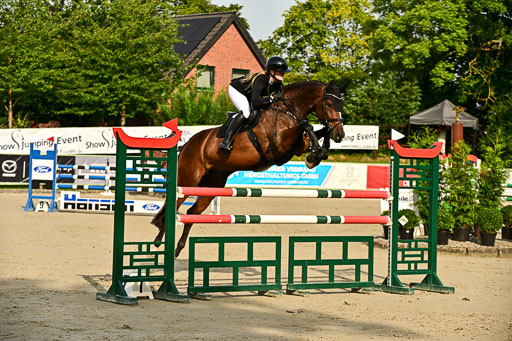 Show Jumping Event Stall Leichle in Schnarup | 140825 Youngster _128 