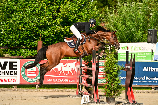 Show Jumping Event Stall Leichle in Schnarup | 140825 Youngster _133 