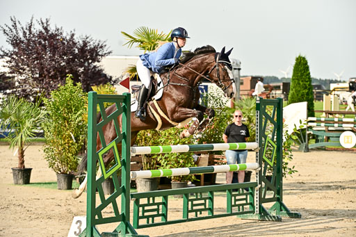 Show Jumping Event Stall Leichle in Schnarup | 140825 Youngster _137 