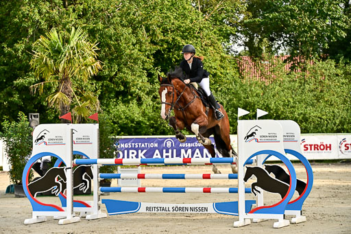 Show Jumping Event Stall Leichle in Schnarup | 140825 Youngster _141 