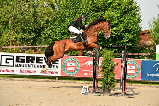 Show Jumping Event Stall Leichle in Schnarup | 140825 Youngster _144 