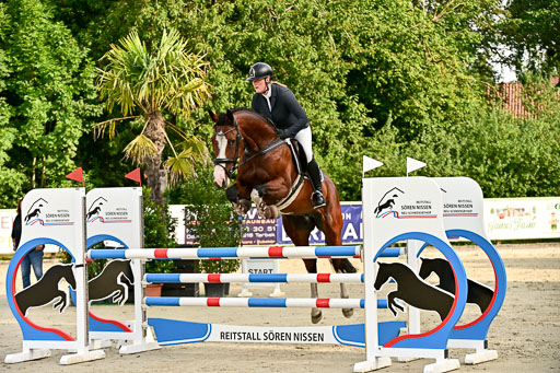 Show Jumping Event Stall Leichle in Schnarup | 140825 Youngster _146 