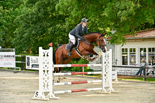 Show Jumping Event Stall Leichle in Schnarup | 140825 Youngster _150 