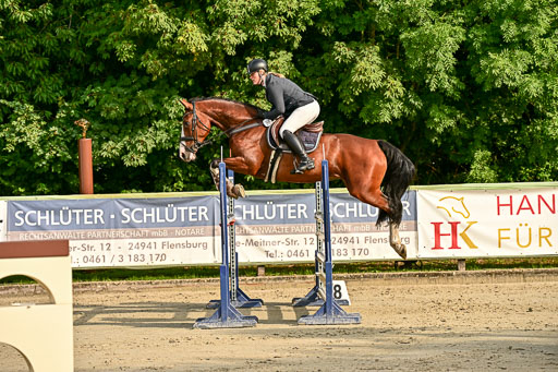 Show Jumping Event Stall Leichle in Schnarup | 140825 Youngster _151 