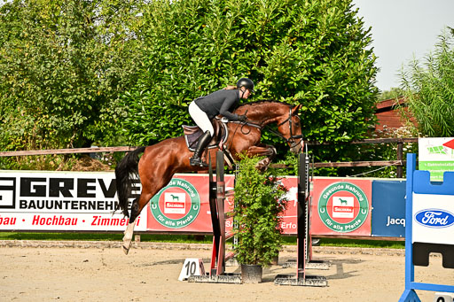 Show Jumping Event Stall Leichle in Schnarup | 140825 Youngster _153 