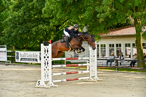 Show Jumping Event Stall Leichle in Schnarup | 140825 Youngster _154 