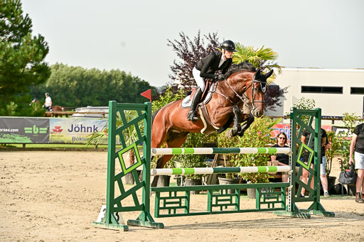 Show Jumping Event Stall Leichle in Schnarup | 140825 Youngster _156 