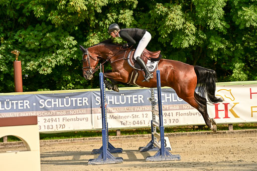 Show Jumping Event Stall Leichle in Schnarup | 140825 Youngster _158 