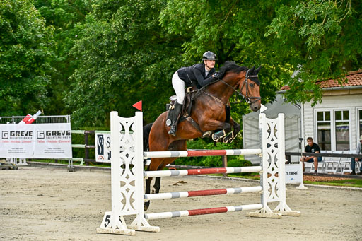 Show Jumping Event Stall Leichle in Schnarup | 140825 Youngster _163 