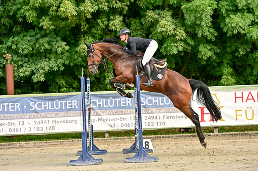Show Jumping Event Stall Leichle in Schnarup | 140825 Youngster _164 