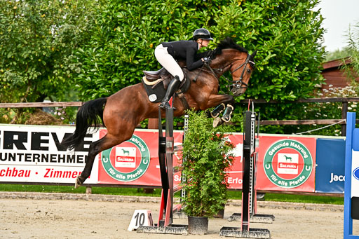 Show Jumping Event Stall Leichle in Schnarup | 140825 Youngster _166 