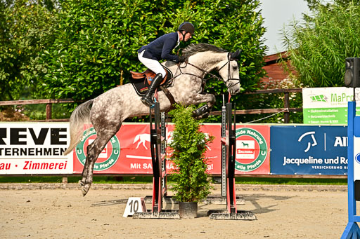 Show Jumping Event Stall Leichle in Schnarup | 140825 Youngster _173 
