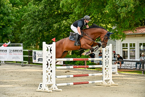 Show Jumping Event Stall Leichle in Schnarup | 140825 Youngster _181 