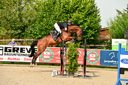 Show Jumping Event Stall Leichle in Schnarup | 140825 Youngster _182 