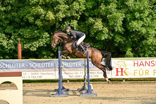 Show Jumping Event Stall Leichle in Schnarup | 140825 Youngster _188 