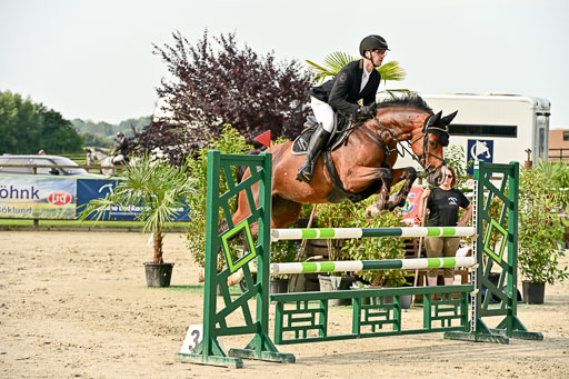 Show Jumping Event Stall Leichle in Schnarup | 140825 Youngster _192 
