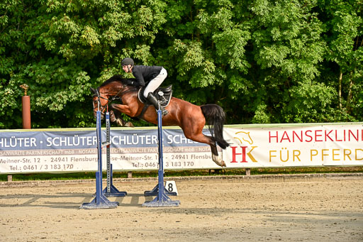 Show Jumping Event Stall Leichle in Schnarup | 140825 Youngster _193 