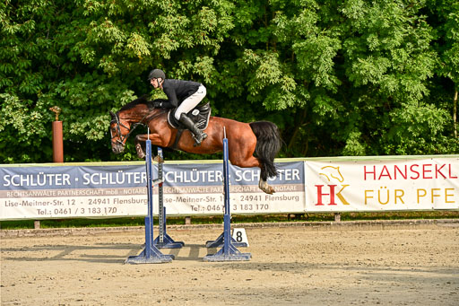 Show Jumping Event Stall Leichle in Schnarup | 140825 Youngster _194 