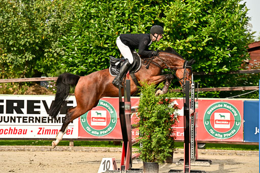 Show Jumping Event Stall Leichle in Schnarup | 140825 Youngster _196 