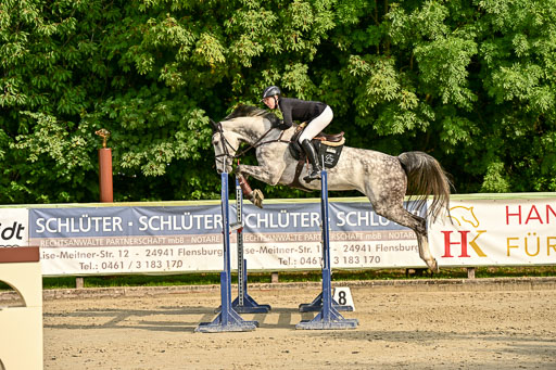 Show Jumping Event Stall Leichle in Schnarup | 140825 Youngster _198 