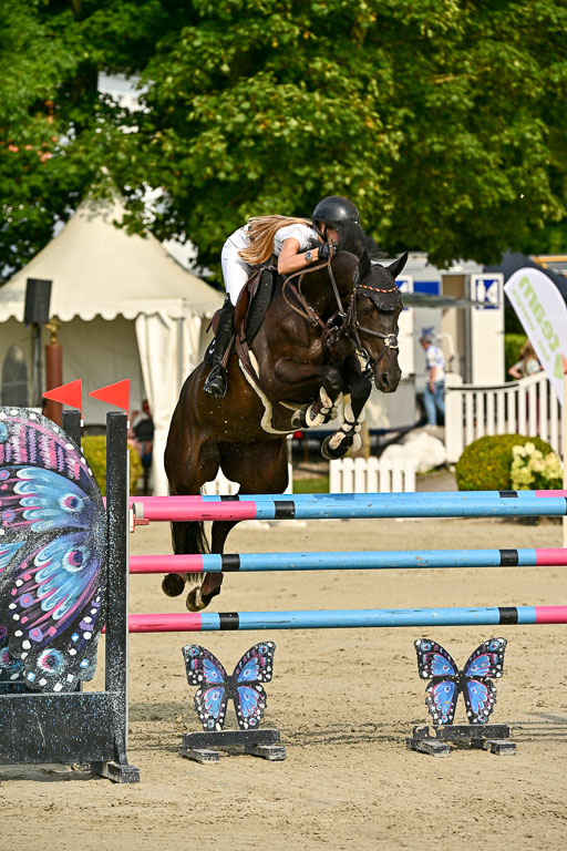 Show Jumping Event Stall Leichle in Schnarup | 100825 Prf 3 KL S+_092 
