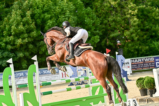Show Jumping Event Stall Leichle in Schnarup | 140825 Amateur M+ _001 