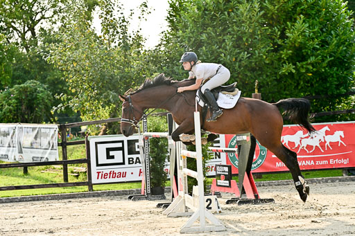 Show Jumping Event Stall Leichle in Schnarup | 140825 Amateur M+ _003 
