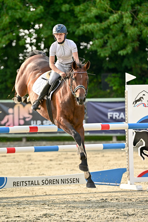 Show Jumping Event Stall Leichle in Schnarup | 140825 Amateur M+ _007 