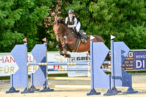 Show Jumping Event Stall Leichle in Schnarup | 140825 Amateur M+ _010 