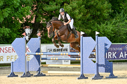 Show Jumping Event Stall Leichle in Schnarup | 140825 Amateur M+ _015 