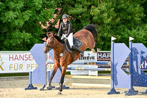 Show Jumping Event Stall Leichle in Schnarup | 140825 Amateur M+ _028 