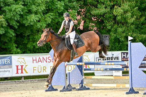 Show Jumping Event Stall Leichle in Schnarup | 140825 Amateur M+ _031 
