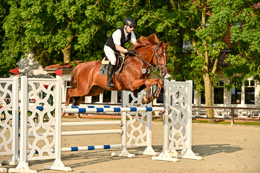 Show Jumping Event Stall Leichle in Schnarup | 140825 Amateur M+ _048 