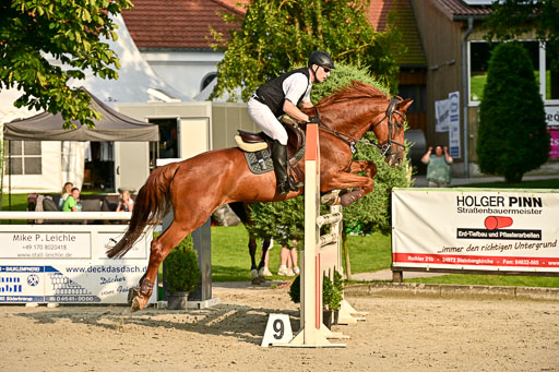 Show Jumping Event Stall Leichle in Schnarup | 140825 Amateur M+ _049 