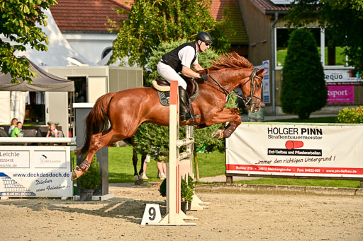 Show Jumping Event Stall Leichle in Schnarup | 140825 Amateur M+ _050 