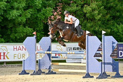 Show Jumping Event Stall Leichle in Schnarup | 140825 Amateur M+ _055 