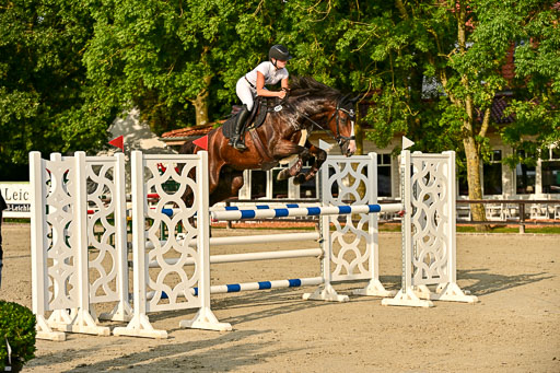 Show Jumping Event Stall Leichle in Schnarup | 140825 Amateur M+ _056 