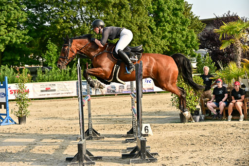 Show Jumping Event Stall Leichle in Schnarup | 140825 Amateur M+ _063 
