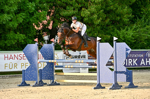 Show Jumping Event Stall Leichle in Schnarup | 140825 Amateur M+ _077 