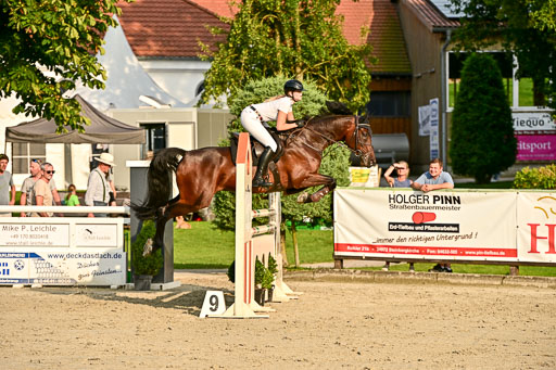 Show Jumping Event Stall Leichle in Schnarup | 140825 Amateur M+ _081 