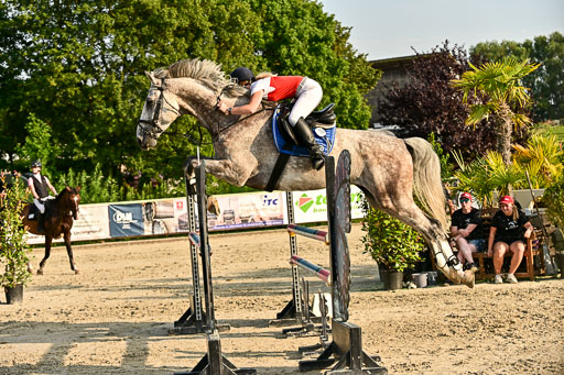 Show Jumping Event Stall Leichle in Schnarup | 140825 Amateur M+ _087 